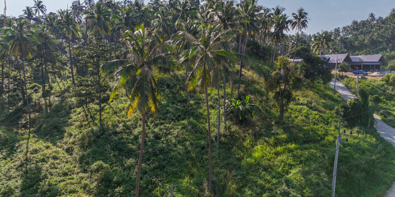 PRIME HILLTOP LAND IN MEANAM SOI 1